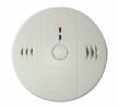 Carbon Monoxide Detector